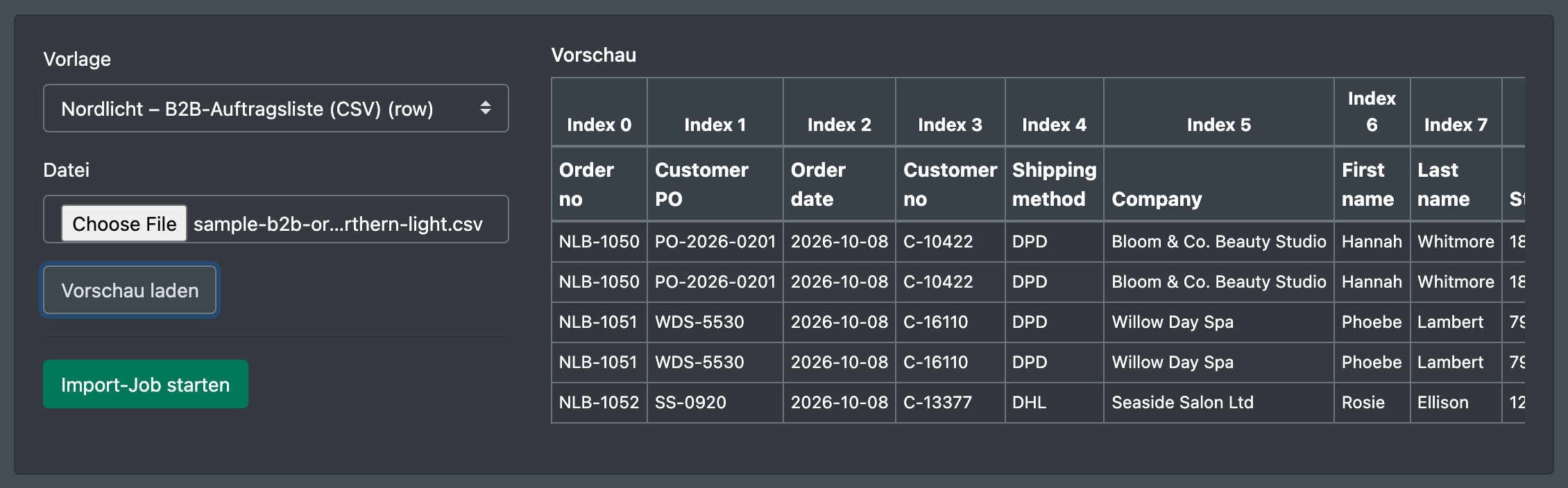 Screenshot: Geladene Vorschau einer Auftragsdatei mit zugeordneten Spalten