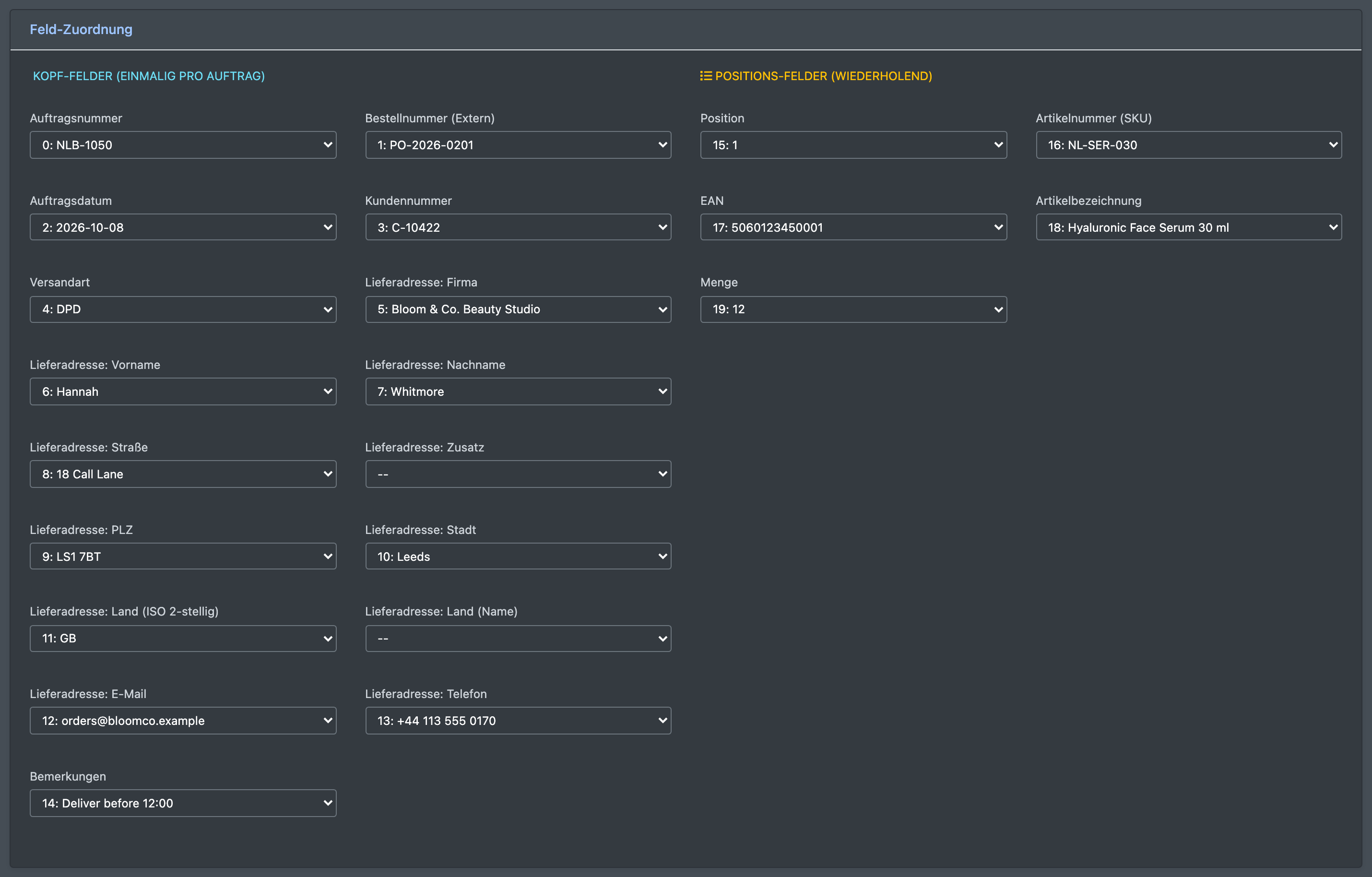 Screenshot: Feld-Zuordnung mit Spalten, die Auftragsnummer, SKU und Menge zugeordnet sind