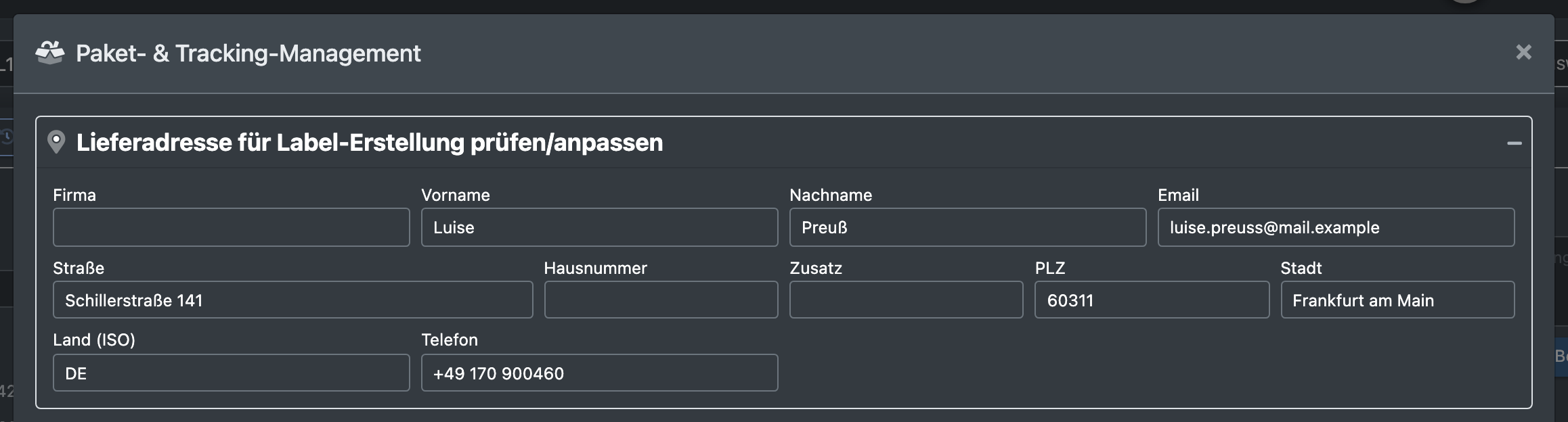 Screenshot: Aufgeklapptes Lieferadress-Formular im Dialog