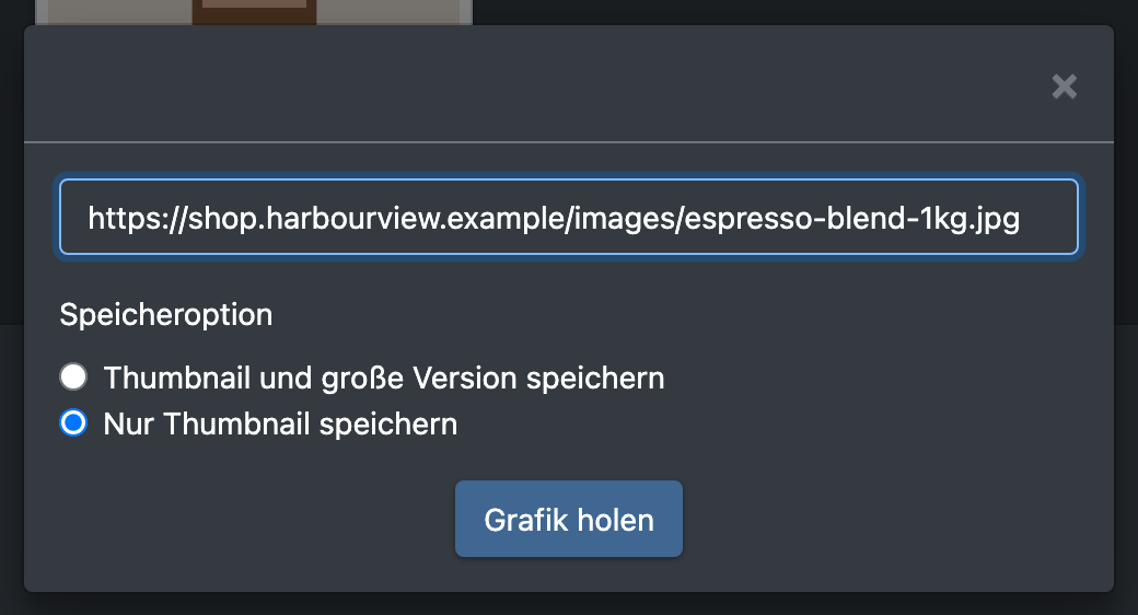 Screenshot: Dialog „Bild via URL laden“ mit URL-Feld und Speicheroption