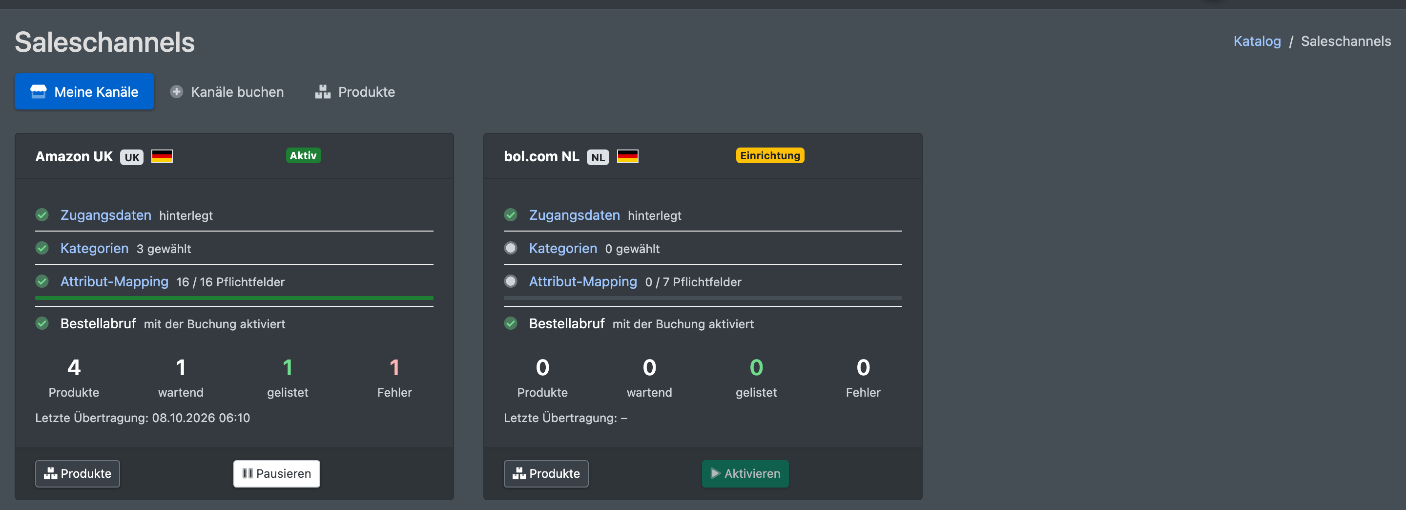 Screenshot: Seite „Meine Kanäle“ mit zwei Kanalkarten, die die Einrichtungs-Checkliste und die Produktzähler zeigen